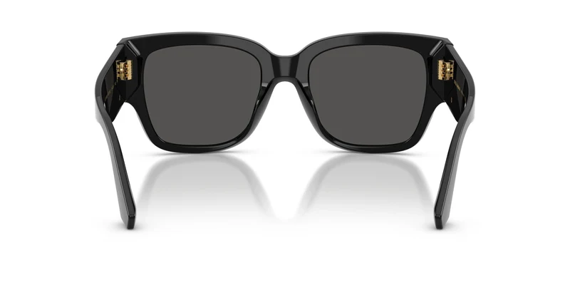 Dolce & Gabbana DG4563 501/87 54