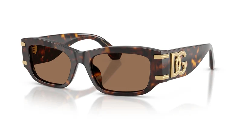 Dolce & Gabbana DG4564 502/73 53
