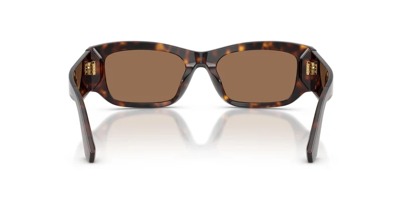 Dolce & Gabbana DG4564 502/73 53