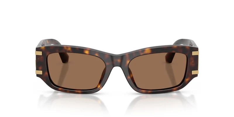 Dolce & Gabbana DG4564 502/73 53
