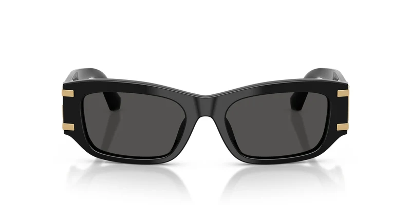 Dolce & Gabbana DG4564 501/87 53