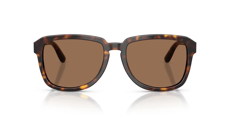 Dolce & Gabbana DG4566 502/73 56