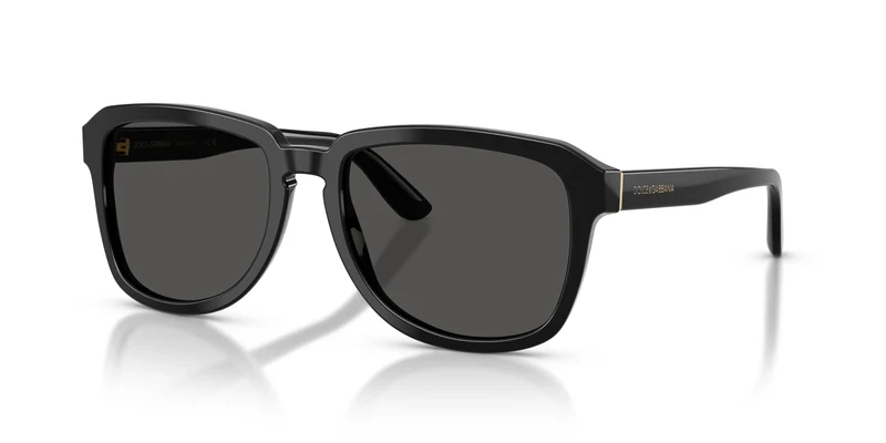Dolce & Gabbana DG4566 501/87 56