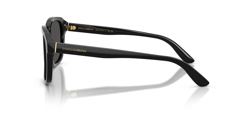 Dolce & Gabbana DG4566 501/87 56