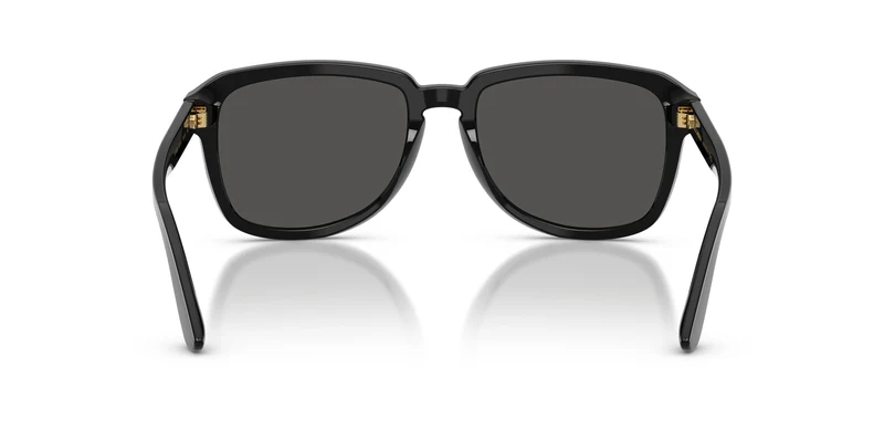 Dolce & Gabbana DG4566 501/87 56