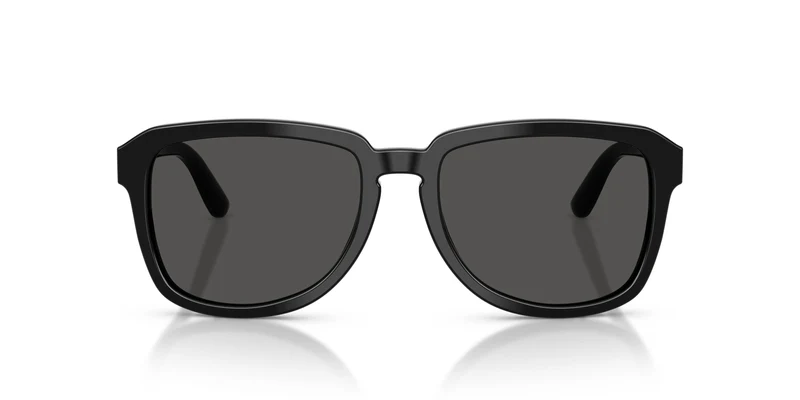 Dolce & Gabbana DG4566 501/87 56