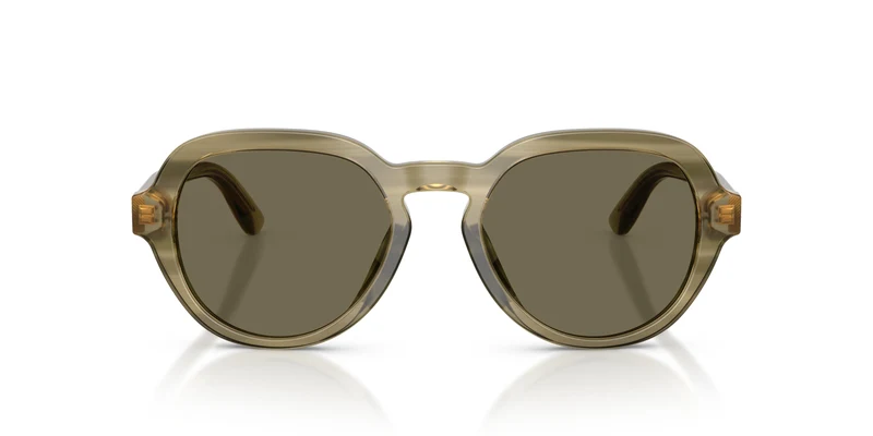 Dolce & Gabbana DG4567 3480/3 52