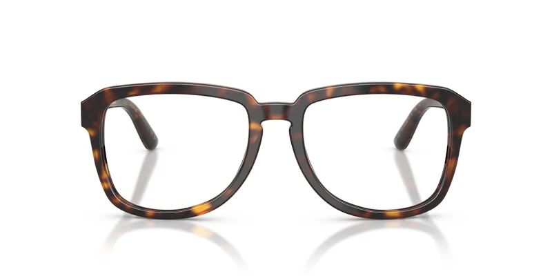 Dolce & Gabbana DG4566 502/SB 56