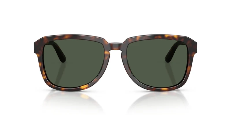 Dolce & Gabbana DG4566 502/9A 56