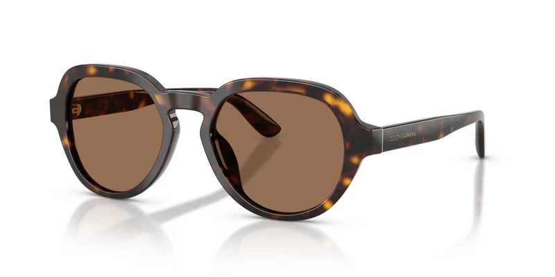 Dolce & Gabbana DG4567 502/73 52