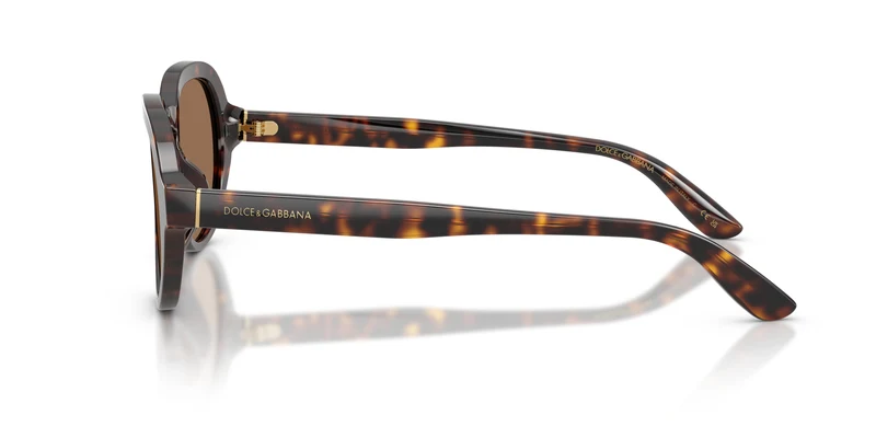 Dolce & Gabbana DG4567 502/73 52