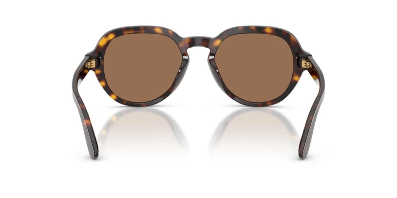 Dolce & Gabbana DG4567 502/73 52