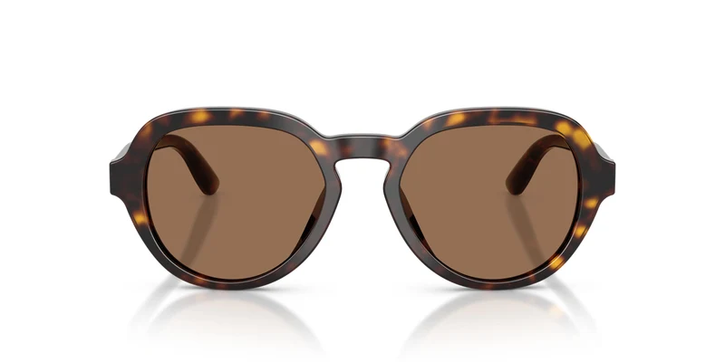 Dolce & Gabbana DG4567 502/73 52