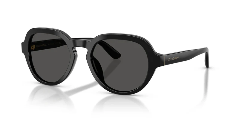 Dolce & Gabbana DG4567 501/87 52