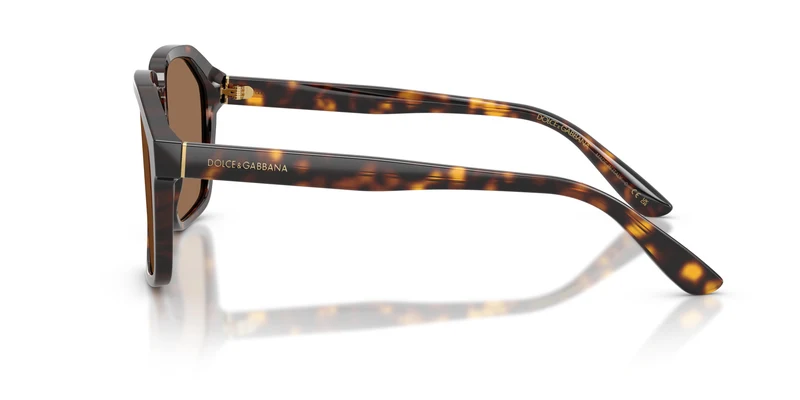 Dolce & Gabbana DG4568 502/73 56