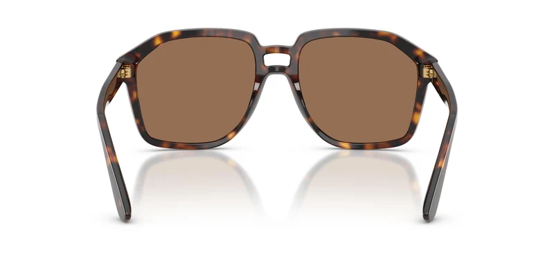 Dolce & Gabbana DG4568 502/73 56