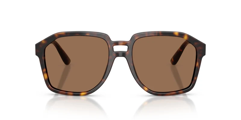 Dolce & Gabbana DG4568 502/73 56