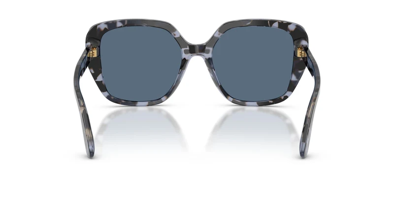 Dolce & Gabbana DG4569 344380 54