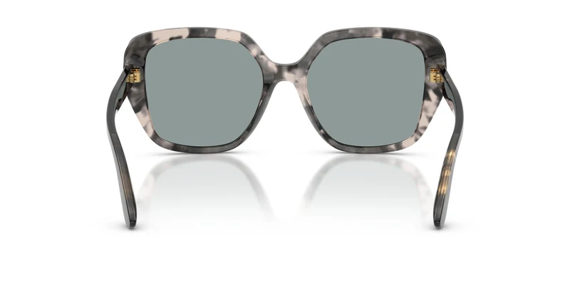 Dolce & Gabbana DG4569 3172/1 54