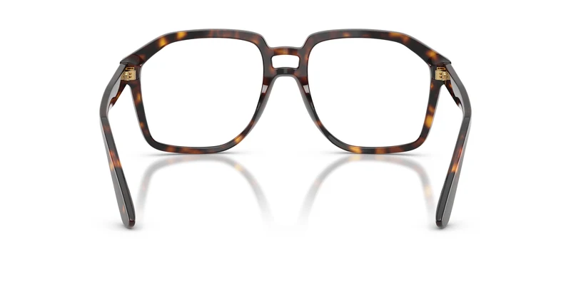 Dolce & Gabbana DG4568 502/SB 56