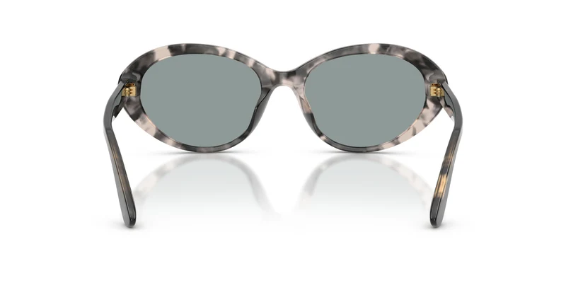 Dolce & Gabbana DG4570 3172/1 53