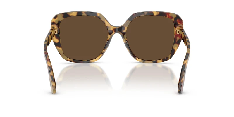 Dolce & Gabbana DG4569 512/73 54