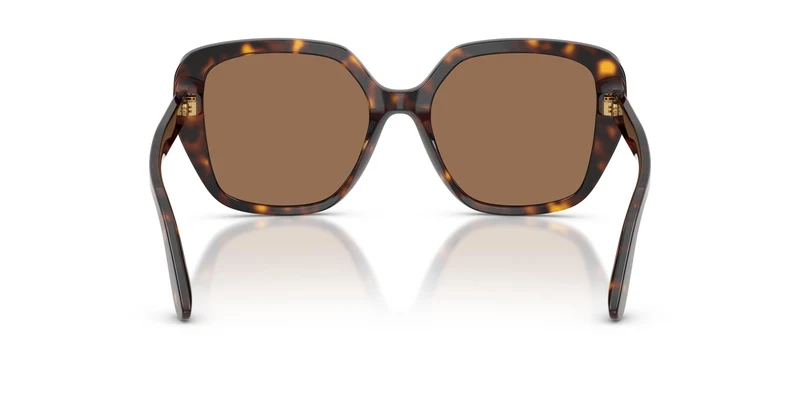 Dolce & Gabbana DG4569 502/73 54