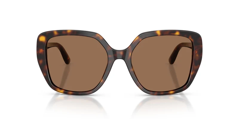 Dolce & Gabbana DG4569 502/73 54