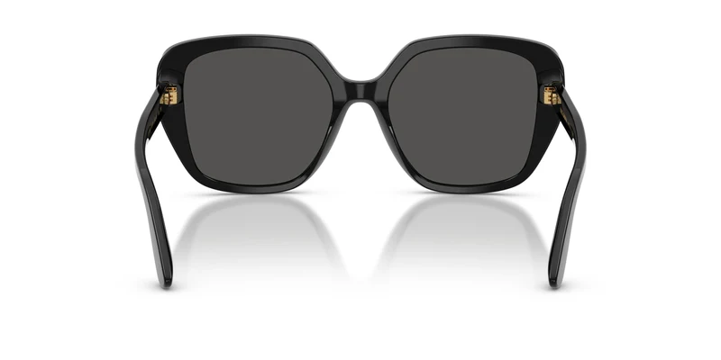 Dolce & Gabbana DG4569 501/87 54