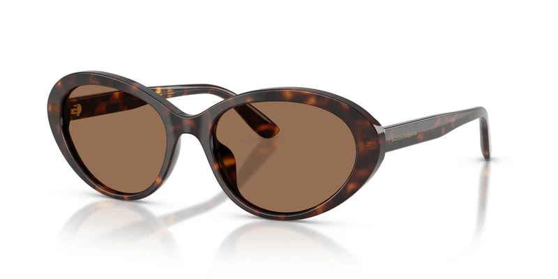 Dolce & Gabbana DG4570 502/73 53
