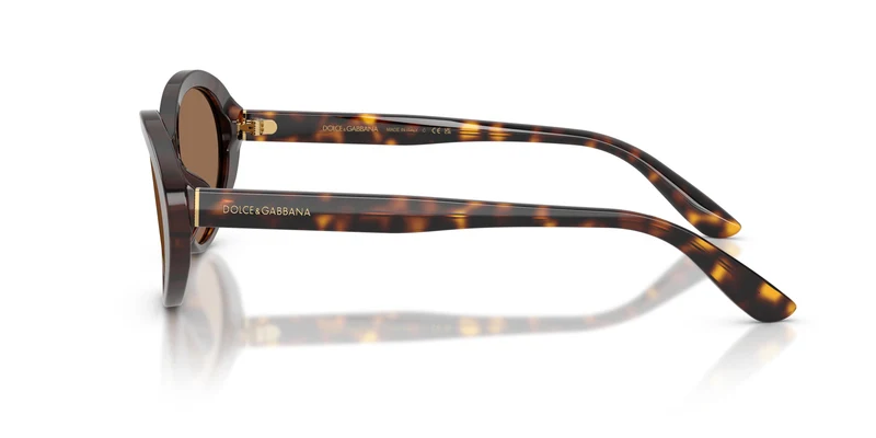 Dolce & Gabbana DG4570 502/73 53