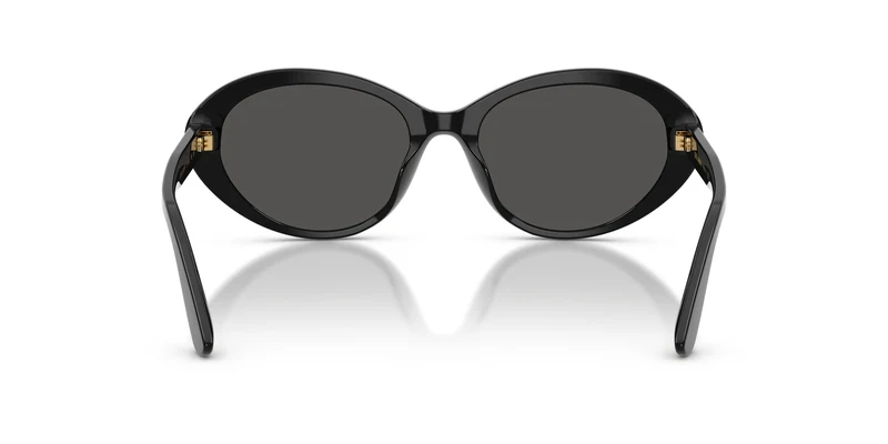 Dolce & Gabbana DG4570 501/87 53