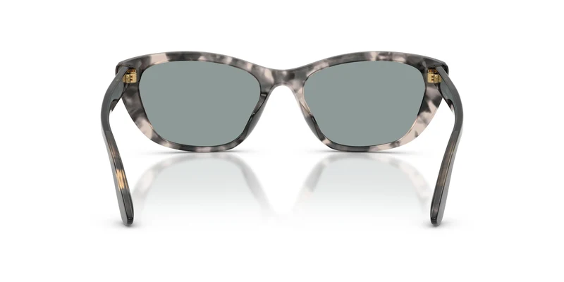 Dolce & Gabbana DG4571 3172/1 56