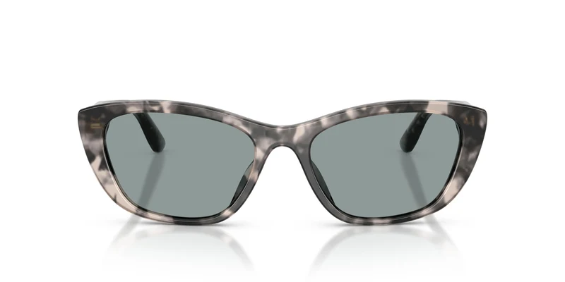 Dolce & Gabbana DG4571 3172/1 56