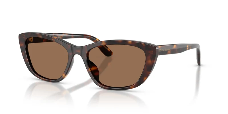 Dolce & Gabbana DG4571 502/73 56