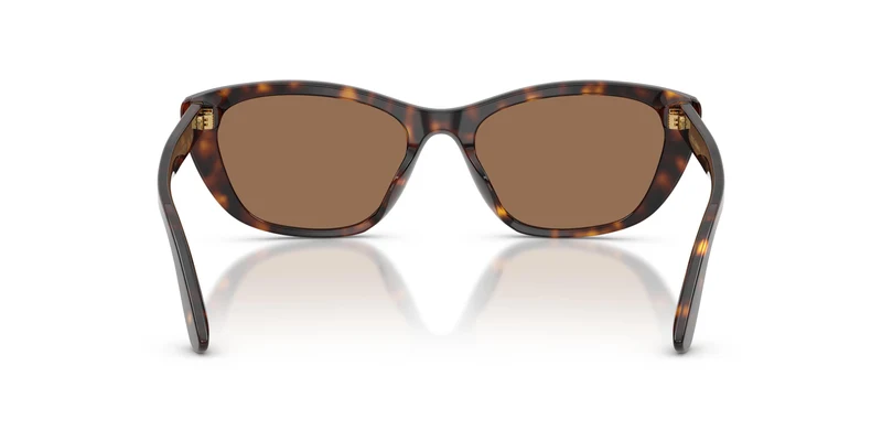 Dolce & Gabbana DG4571 502/73 56