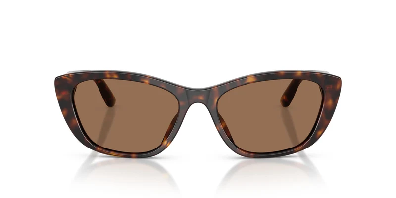 Dolce & Gabbana DG4571 502/73 56