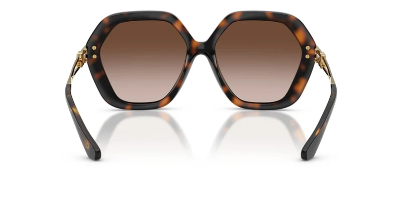 Dolce & Gabbana DG6210 502/13 56