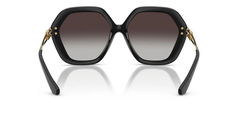 Dolce & Gabbana DG6210 501/8G 56