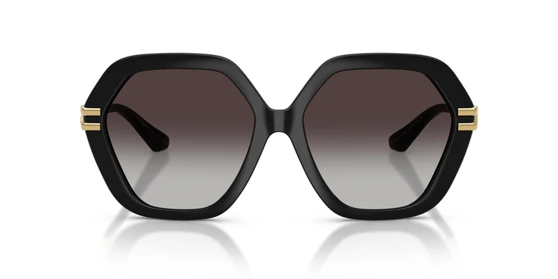 Dolce & Gabbana DG6210 501/8G 56
