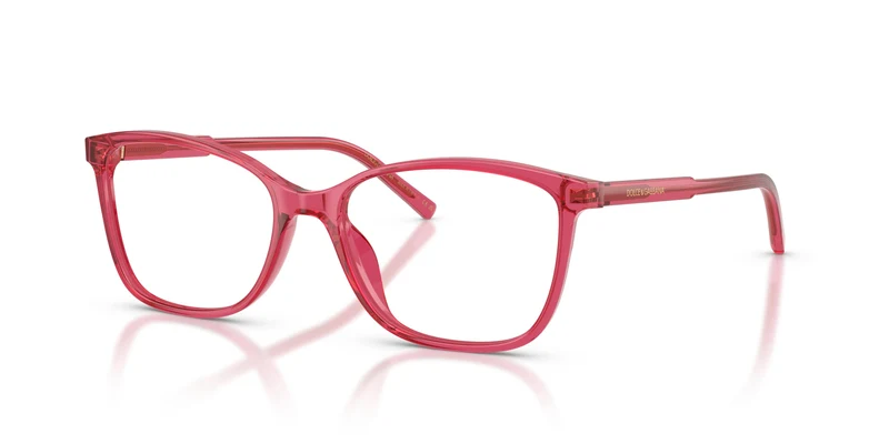 Dolce & Gabbana DG3424 1754 54