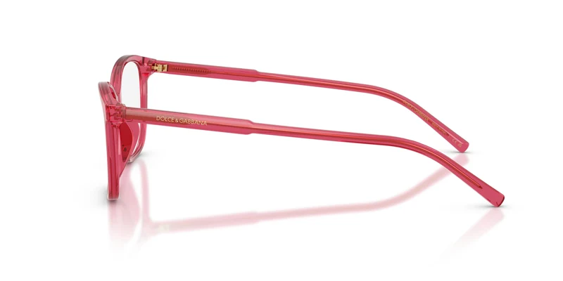 Dolce & Gabbana DG3424 1754 54