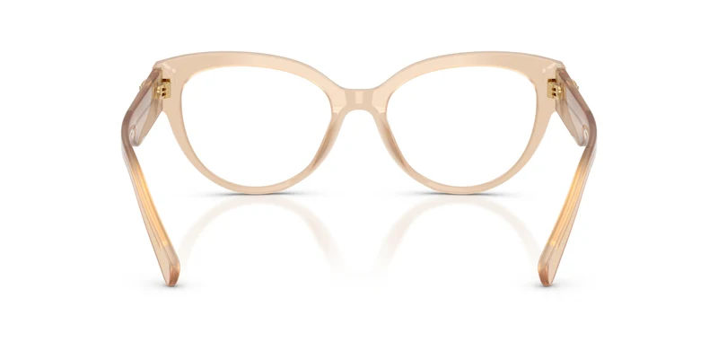 Dolce & Gabbana DG3440 3089 54