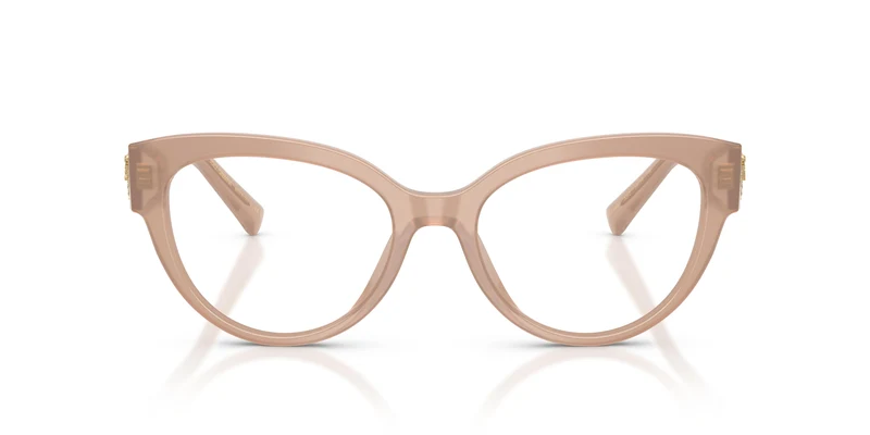 Dolce & Gabbana DG3440 3042 54