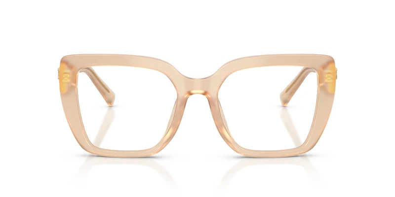 Dolce & Gabbana DG3441 3089 53