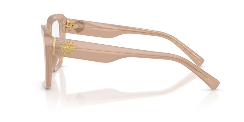 Dolce & Gabbana DG3441 3042 53