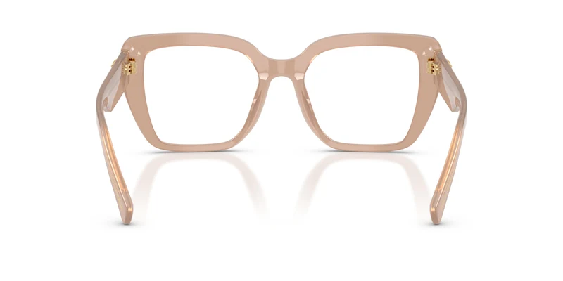 Dolce & Gabbana DG3441 3042 53