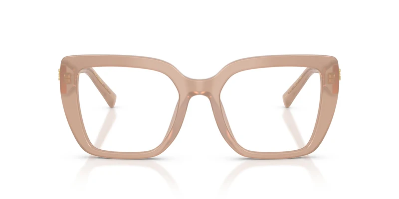 Dolce & Gabbana DG3441 3042 53