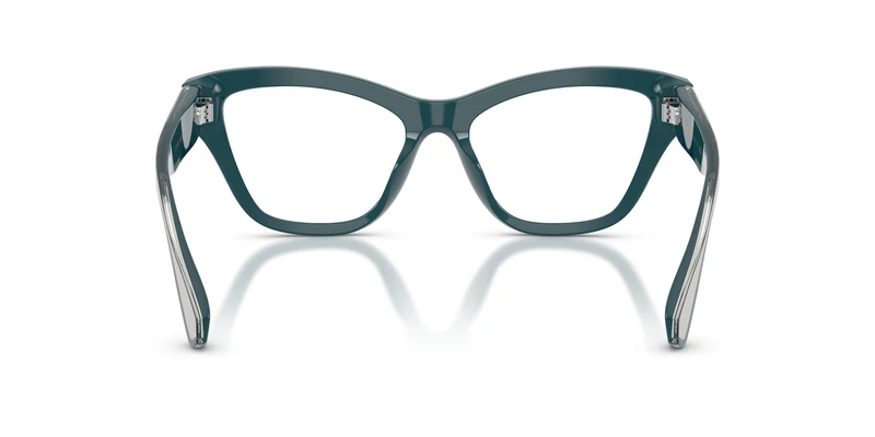 Dolce & Gabbana DG3448 3502 54