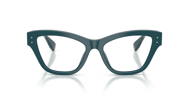 Dolce & Gabbana DG3448 3502 54